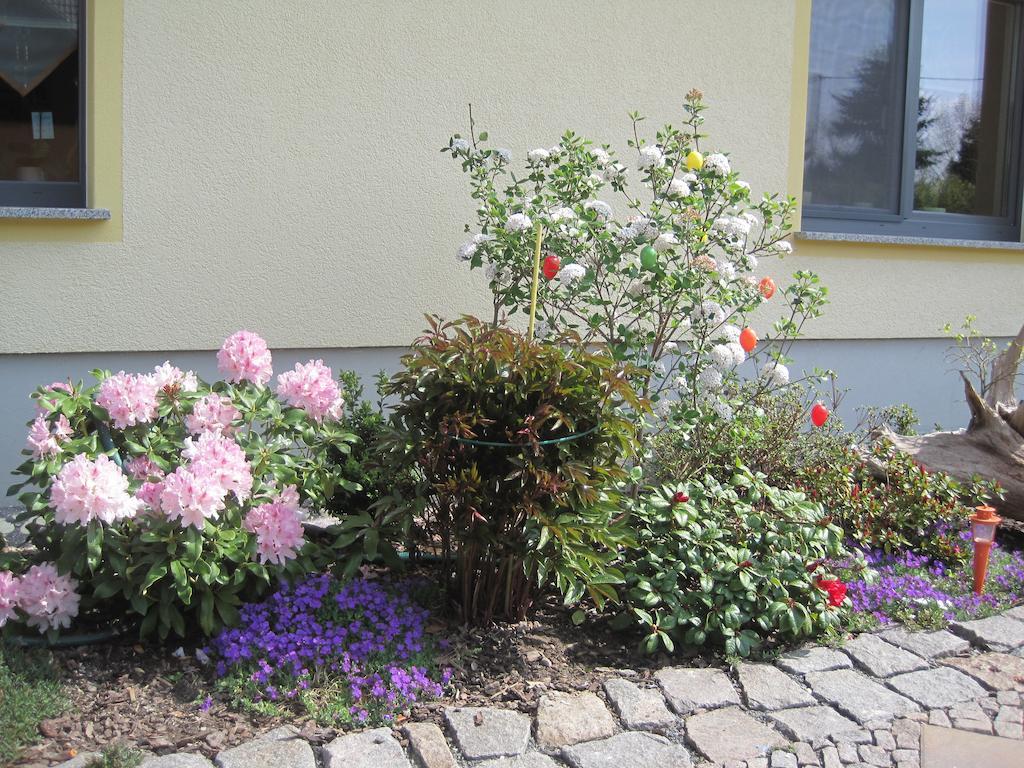 Haus Am Park Daire Thallwitz Oda fotoğraf