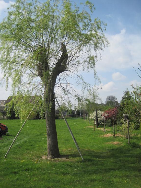 Haus Am Park Daire Thallwitz Oda fotoğraf