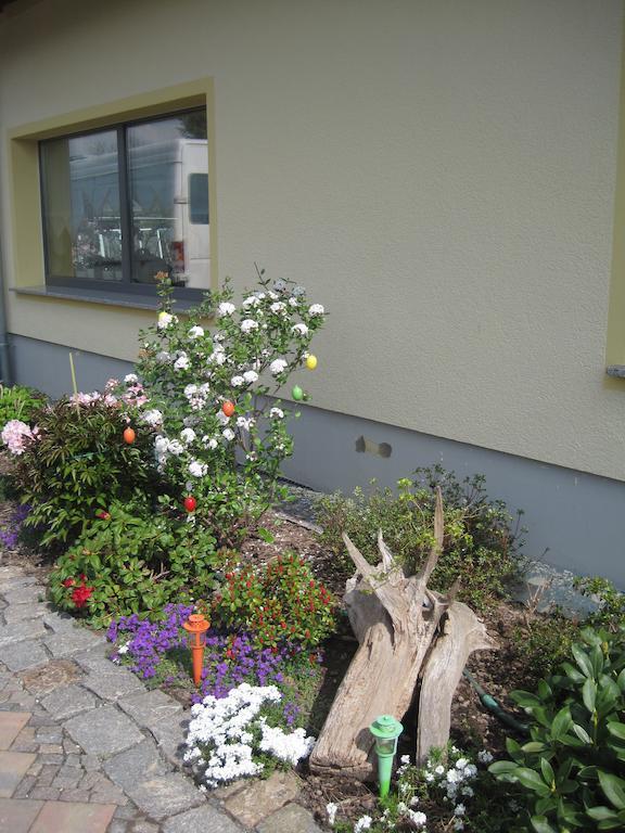 Haus Am Park Daire Thallwitz Oda fotoğraf