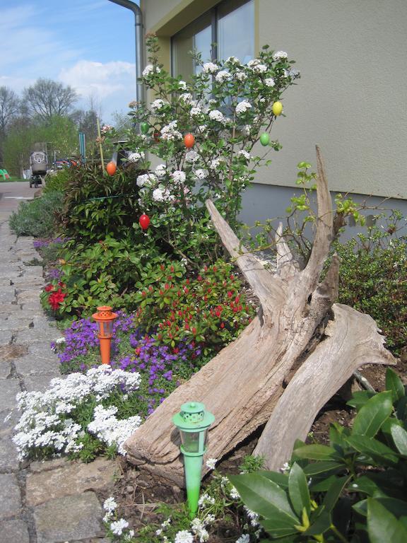 Haus Am Park Daire Thallwitz Oda fotoğraf