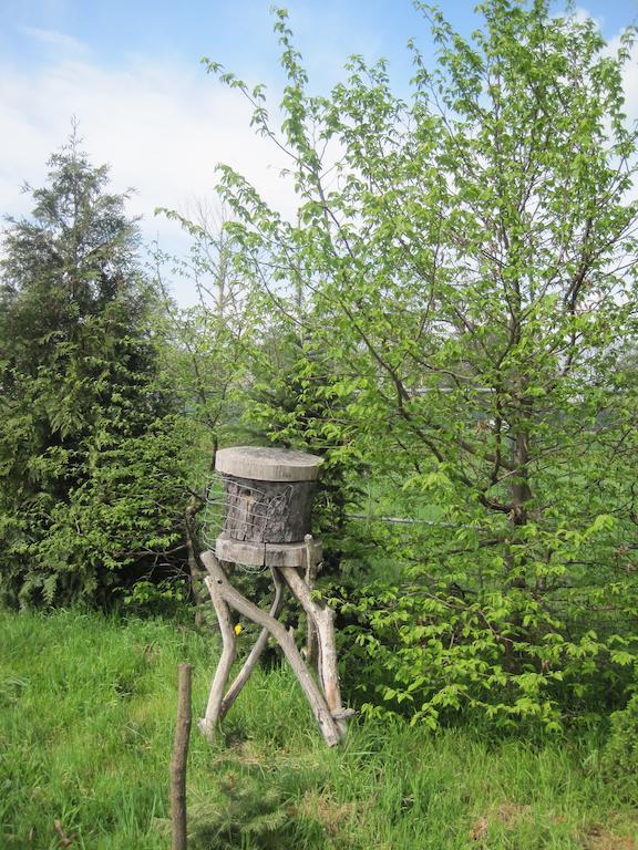 Haus Am Park Daire Thallwitz Oda fotoğraf