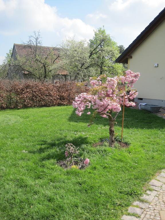 Haus Am Park Daire Thallwitz Oda fotoğraf